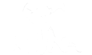 Rejka